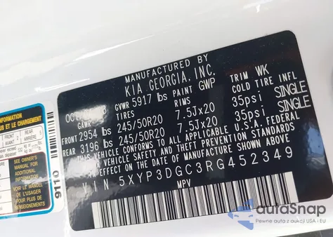 2024 Kia Telluride Ex from USA, damaged, VIN 5XYP3DGC3RG452349